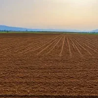 یک هکتار زمین کشاورزی