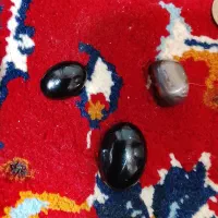 سکه های قدیمی|کلکسیون سکه، تمبر، اسکناس|بیجار, |دیوار