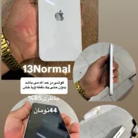 13Normal
