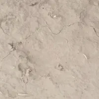 زمین کشاورزی|فروش دفتر صنعتی، کشاورزی، تجاری|زهک, |دیوار