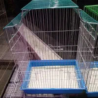 کلکسیون قفس پرنده|لوازم جانبی حیوانات|تربت‌حیدریه, شهید قرنی|دیوار