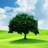 ماهیگیری با قلاب