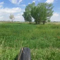 فروش یامعاوضه باغ انگورو زمین کشاورزی درصالح آباد|فروش دفتر صنعتی، کشاورزی، تجاری|صالح آباد, |دیوار