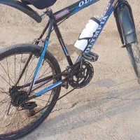 دوچرخه دنده ای|دوچرخه، اسکیت، اسکوتر|تربت جام, جامرود|دیوار