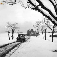 میش رومانوف