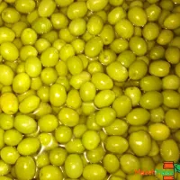 زیتون کنسروی امساله به قیمت پارسال