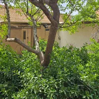 باغ ویلا سندتکبرگ کنتورآب برق گازشهری|فروش خانه و ویلا|هشتگرد, شهرک راه آهن|دیوار