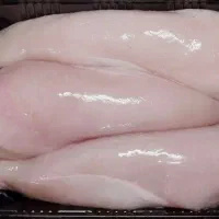 ران.شینسل.فیله مرغ گرم شمال بالاترین کیفیت|خوردنی و آشامیدنی|اصفهان, باغ زرشک|دیوار