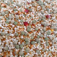 دان ارزن کتان شاهدانه طوطی سهره کبوتر کف دریا سفید