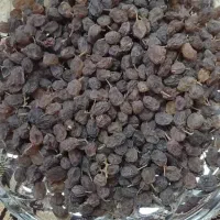 کشمش پلویی،کشمش آفتابی