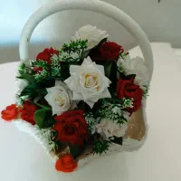 درحدنو|پیانو، کیبورد، آکاردئون|قم, علی آباد|دیوار