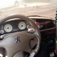 پژو فول لوازم نقر‌ه‌ای