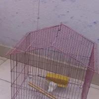 قفس پرنده