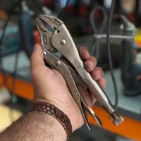 انبرقفلی آمریکایی استوک