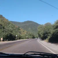 ماشین پژو پارس