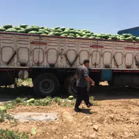 هندوانه میخوام