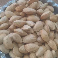 فروش بادام مامایی