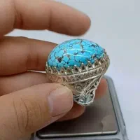 نیشاپوری عنکبوتی غول|جواهرات|اهواز, زیتون کارگری|دیوار