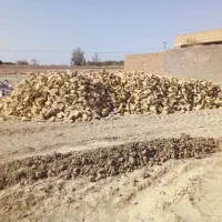 فروش-زمین-مزرعه-کلانتر