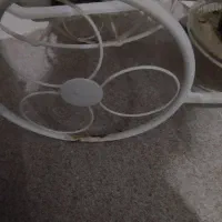 جاگلدونی|گل و گیاه طبیعی|دلیجان, |دیوار