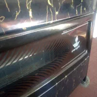 کولرابی صفرتاصد