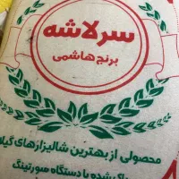 سرلاشه هاشمی