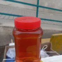 کره محلی گاوی گوسفندی شیره انگور عسل طبیعی|خوردنی و آشامیدنی|گنبد کاووس, |دیوار
