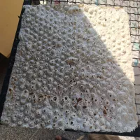 فروش دستگاه نانوایی روتاری|ماشین‌آلات صنعتی|لامرد, |دیوار