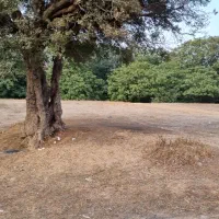 ۶۶۰۰متر زمین  چشمه دار دارای  سند تکبرگ لوکیشن .|فروش زمین و ملک کلنگی|بره‌سر, |دیوار