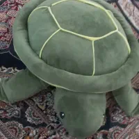 لاک پشت جنس عالی