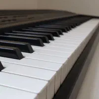 پیانو الکترونیکی کاسیو اصل|پیانو، کیبورد، آکاردئون|شیراز, گویم|دیوار