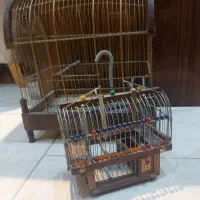 قفس پرنده/کلکسیونی