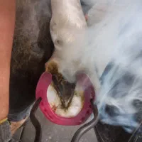 نعل بندی (داغ و سرد)