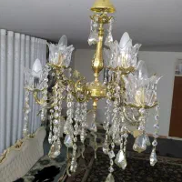 همه سالم و تمیز