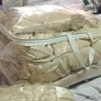 روتختی ساتن