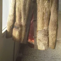 کت پوست مصنوعی انگلیسی