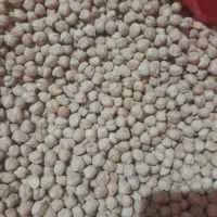 فروش یک تن نخودو ۳۰۰ کیلو نخود|عمدهفروشی|قیدار, |دیوار