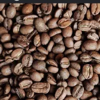 قهوه عربیکا