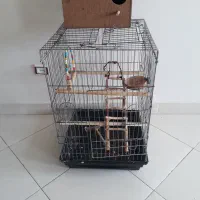 یک عدد قفس بزرگ مناسب کاسکو و شاه طوطی