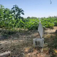 زمین زراعی مناسب برای گلخانه و دامداری