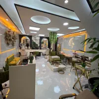 دعوت به همکاری در لاین رنگ و لایت و بافت مو