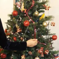 درخت کریسمس
