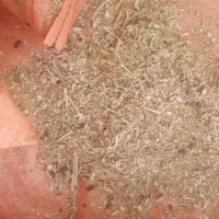 ارسال کاه لوبیا|لوازم جانبی حیوانات|ساوه, |دیوار