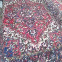فرش دستباف ۱۲متری