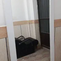 آینه قدی دومتری نونو و درخت شکوفه