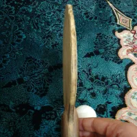 راکت پینگ پنگ مدل ساردیوس|ورزشهای توپی|مشهد, کوی المهدی|دیوار