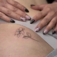 تتوبدن رایگان با بهترین متریال بانوان+آموزش تتو|خدمات آرایشگری و زیبایی|نور, |دیوار