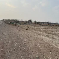 زمین-باغی