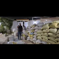 بادام صادراتی خرید و فروش انواع بادام