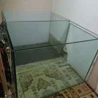 آکواریوم